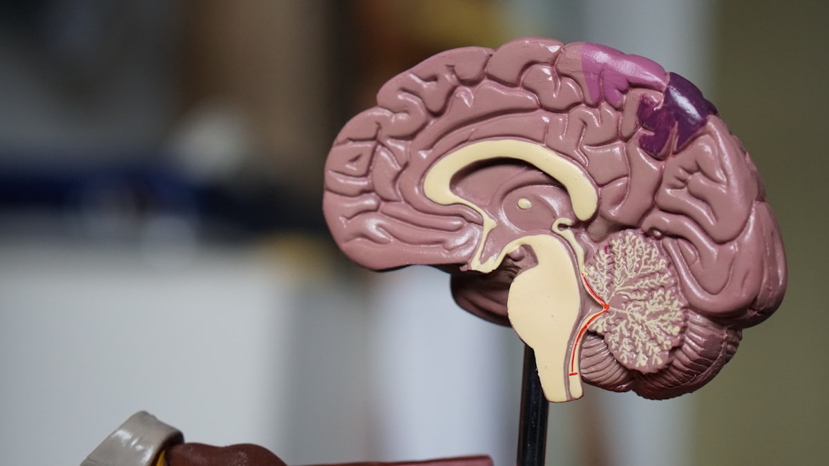 Psicología de las encuestas: cómo entender los sesgos cognitivos en las respuestas